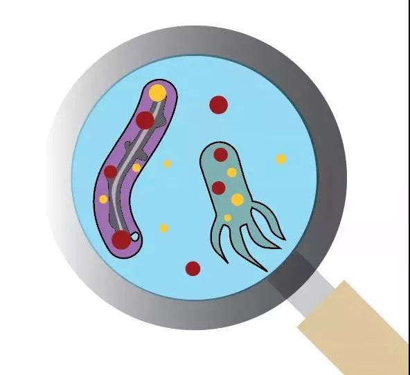 污水廠內的生物氣溶膠怎么產生,污水從業人員如何做好防護?- 污水廠內的生物氣溶膠怎么產生,污水從業人員如何做好防護?-